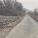 길위의 꿈-(A dream on the road) 이미지