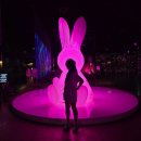 강릉회산막국수 | [강릉] 500일 커플의 강릉 여행 아르떼뮤지엄 강문해변 회산장칼국수