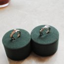 엘도라도시티 이미지