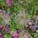 방아다리공원 이미지