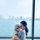 하비주농장펜션 | 강원도 속초 펜션 숙소 추천 아기랑 여행 켄싱턴 리조트 설악밸리