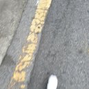 꼬부기부엌 이미지