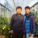 남원읍-83 이미지