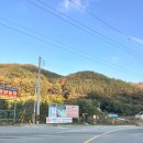 [대전 근교 신생캠핑장] 좋은하루 캠핑장, 대둔산 전북 완주 애견동반 A4 사이트 후기