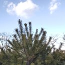 소나농장 이미지