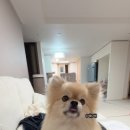 휘이