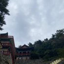 복천사 아미타극락회상도 | 복천사 / 영도 봉래산 아름다운 자연이 깃든 부산 전통사찰