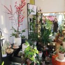 하대동113 이미지