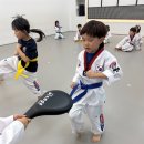 화성 슈퍼키즈 태권도장 이미지