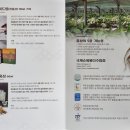 맹여사푸드 이미지
