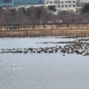 철새공원 화장실 이미지