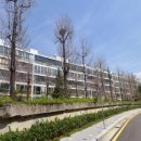 반도보라 이미지