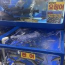 농수산물도매시장_하 | 수원 수산 시장 집에서 대게 전어요리 후기 ft. 대게 1kg, 활전어 시세