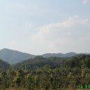 이해수선생묘 이미지