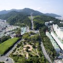 꽃피는청춘주 이미지