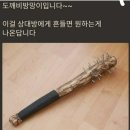 마리느 이미지