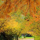 여주-1110 이미지