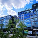 연세숲내과의원 이미지