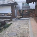 게스트하우스민박 이미지