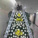 전거리길 | 경북 안동시 (용상동) 안동병원 장례식장 근조 기업 화환 야간 꽃배달