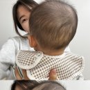 모이따 이미지