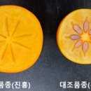 진홍산업 이미지