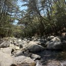 장산로 | 부산 대천공원 산책길 후기, 장산계곡 황톳길 맨발걷기