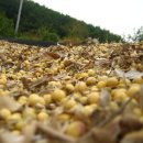 최병철농장 이미지