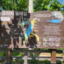 원골쉼터 | 포항 오어지 둘레길 주차·소요시간 후기, 강아지와 걷기 좋은 오어사 산책 코스