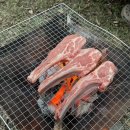 벨리타캠핑장 이미지