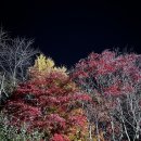 계백로776번길 | (ᓀ‸ᓂ) [대전 서구] 하루를 빛내주는 기념일에는 관저동 나인