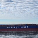 티씨 코리아 이미지