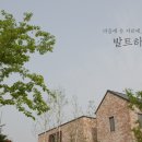 발트하우스 네이버블로그