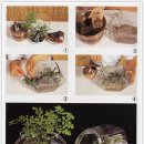 테라리움 만들기 이미지