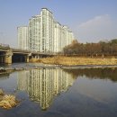 탄천 이미지