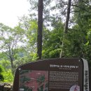 0824.고석.고석정.유람선 이미지