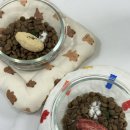 꾸이네펫푸드 이미지