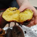 금광농원 이미지