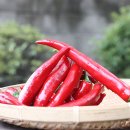 석성농장 이미지