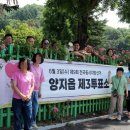 장애인지역공동체 티스토리