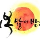 새만금 청보리농장 이미지