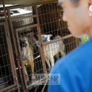 용재농장 이미지