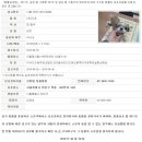 리본동물병원 이미지