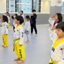 청룡태권도장 이미지