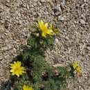 당지농장 이미지