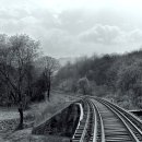 Big City L 이미지