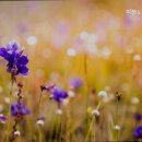 지성노인요양센터 이미지