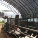 지선농장 이미지