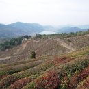 봉화산주차장 이미지