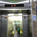 동탄대로시범길 이미지